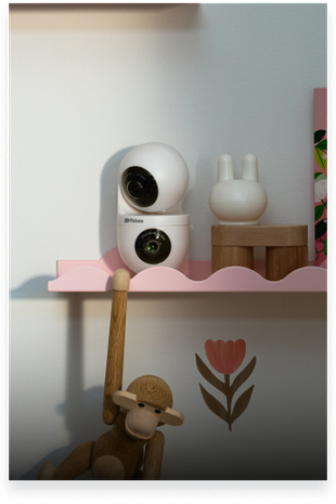 Dual-Cameras