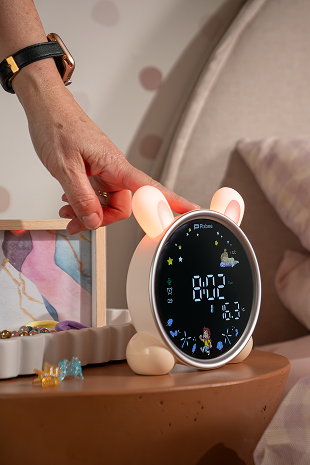 Portable design