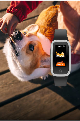 3 games  & Magic Pet