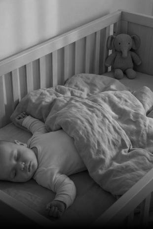 Infrared Night Vision